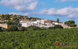 盘点意大利的西西里岛葡萄酒产区