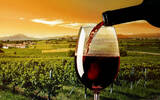 进口葡萄酒VS国产葡萄酒 市场争夺战升温
